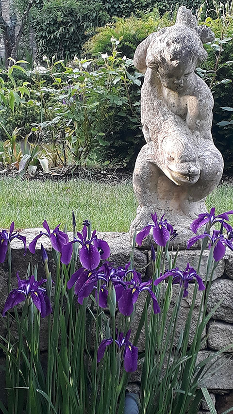 Le Dantec Environnement : étude et dessin de jardins